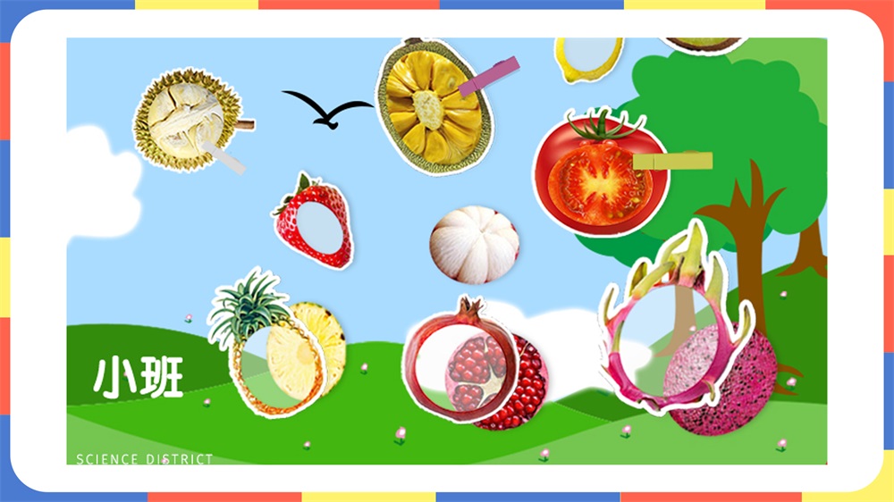 小班科学区《水果果肉知多少》